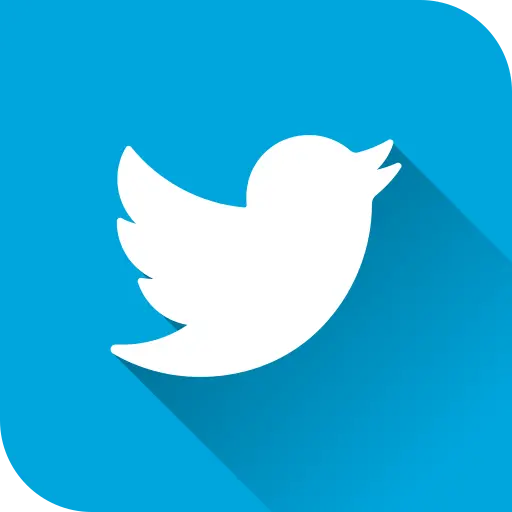 Twitter MP4 Icon